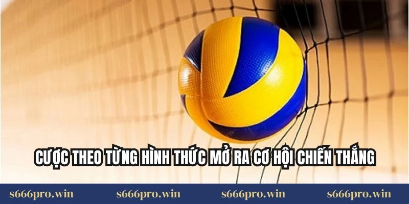 Cược theo từng hình thức mở ra cơ hội chiến thắng