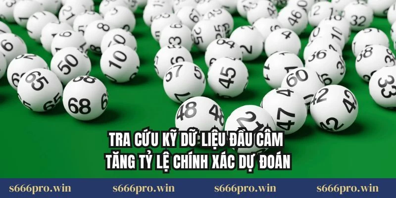 Tra cứu kỹ dữ liệu đầu câm giúp tăng tỷ lệ chính xác dự đoán